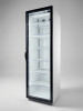 Шкаф морозильный Фриголайн (Frigoglass) FZ-500