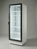 Шкаф холодильный Фриголайн (Frigoglass) Plus 500